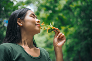 Scent Profile of Diffuser Oils